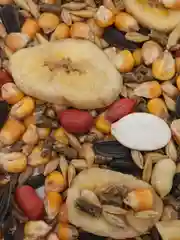Корм для крыс натуральный GRANOFEED, зерносмесь, без ГМО, в упаковке зип-лок, 400 г