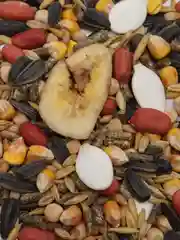 Корм для грызунов натуральный GRANOFEED, зерносмесь, без ГМО, в упаковке зип-лок, 800 г