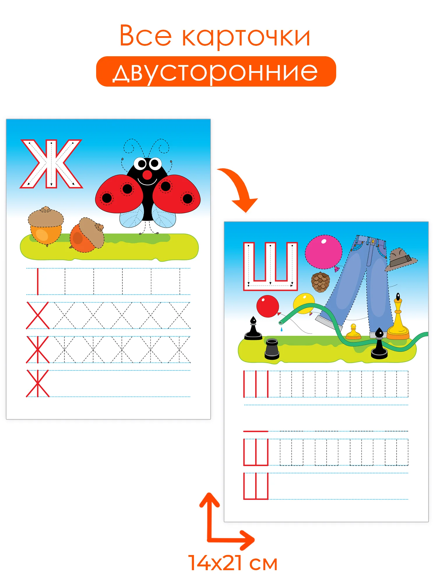Многоразовые прописи. Буквы. Дрофа-Медиа