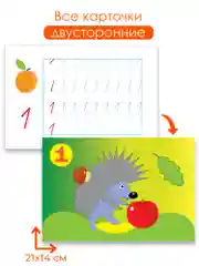 Многоразовые прописи. Цифры и фигуры. Дрофа-Медиа