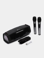Беспроводная портативная Bluetooth караоке-колонка с микрофонами