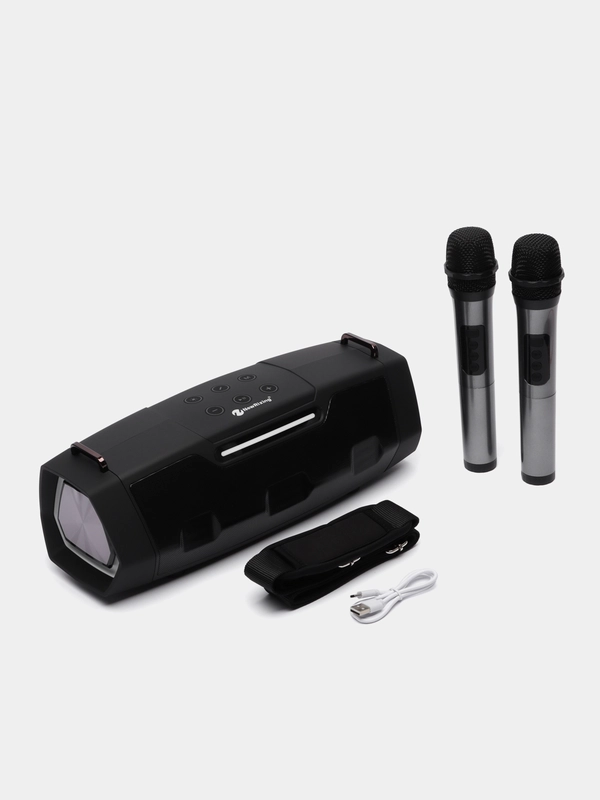 Беспроводная портативная Bluetooth караоке-колонка с микрофонами