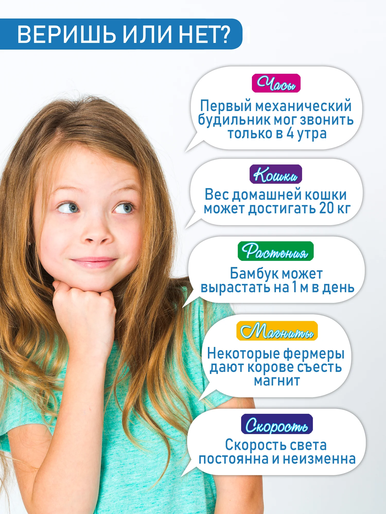 Игра-викторина "Веришь или нет?"