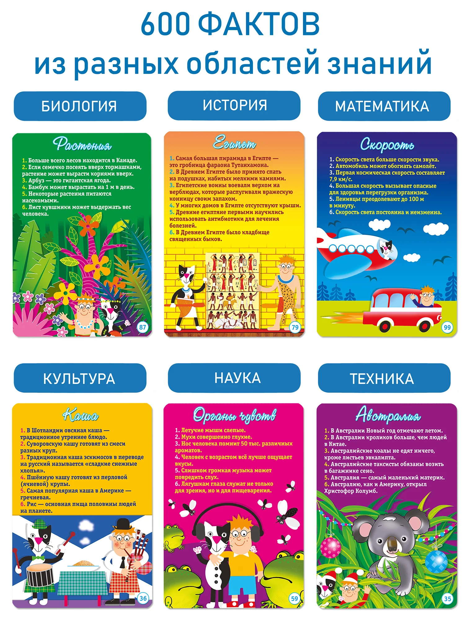 Игра-викторина "Веришь или нет?"