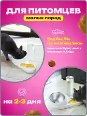 Фиолетовый миска для животных, с автоматической поилкой