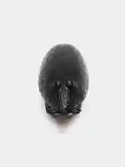 Черный интерактивная игрушка для кошек мышь с эффектом движения / для кошек / для котят