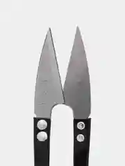 Черный ножницы рыболовные, перекусы