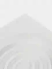 Лоток для приучения кошек к унитазу