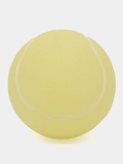 Игрушка мяч для собак с пищалкой, 6.5 см