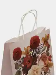 Кораллово-розовый пакет подарочный новогодний универсальный для женщины и мужчины 22см х 12см х 27см