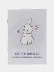 Лавандовый сертификат о профилактических прививках, 24 страницы, А6