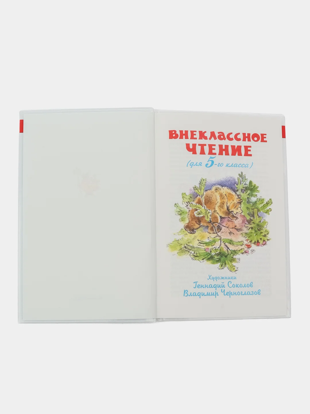 Внеклассное чтение 5 класс. Школьная библиотека. Самовар