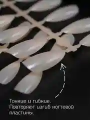 Бежевый накладные типсы для наращивания ногтей