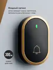 Черный звонок дверной беспроводной на батарейках для входной двери Birdhouse, умный звонок