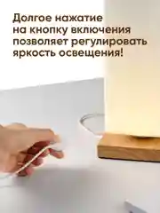 Золотой светильник настольный прикроватный Ocean of Light, ваза для сухоцветов