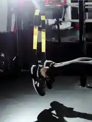 Тренировочные спортивные петли Shark Fit для тренировок