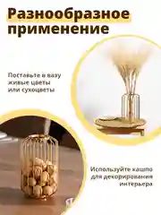Золотой ваза для цветов Limpid Side, ваза для интерьера прозрачная, 21 см