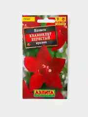 Семена Цветы Ипомея Квамоклит Перистый Красная