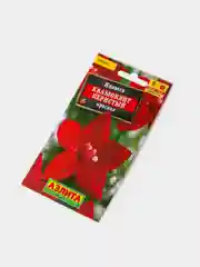 Семена Цветы Ипомея Квамоклит Перистый Красная