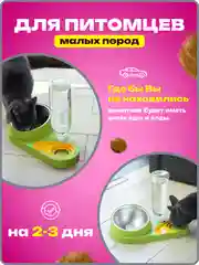Фиолетовый миска для животных, с автоматической поилкой