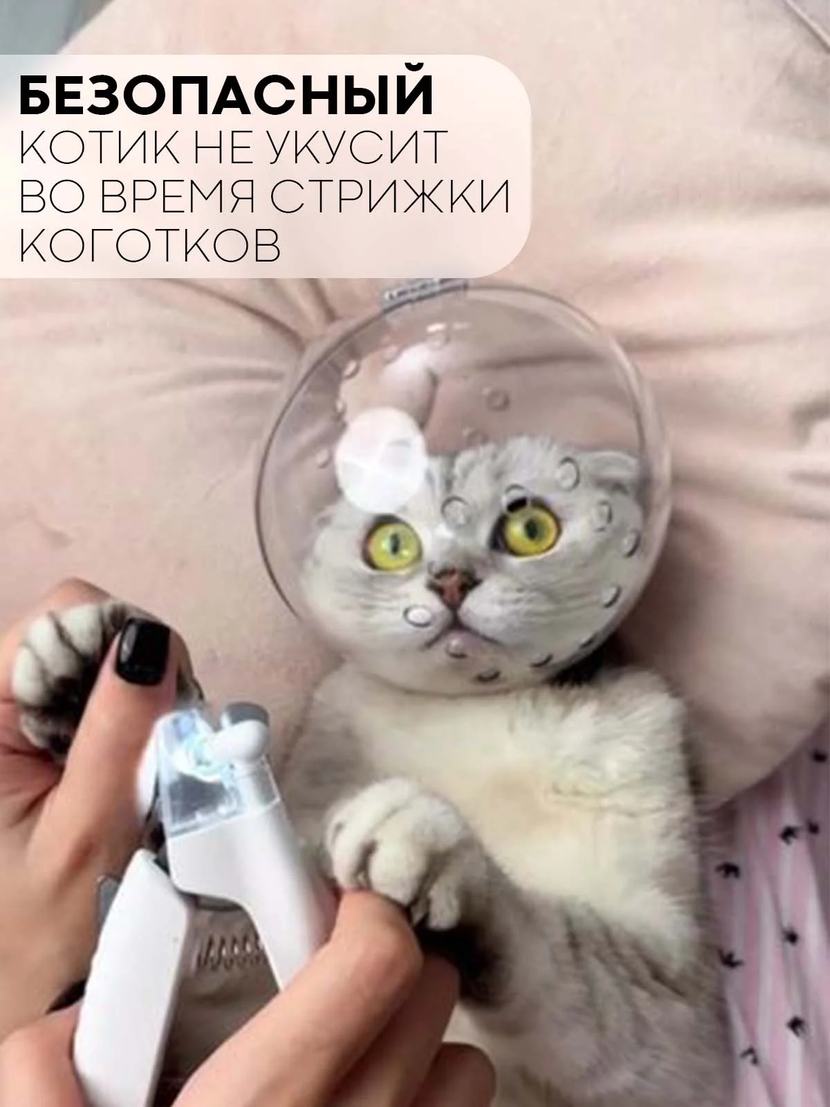 Прозрачный защитный воротник-шар для кошек и собак КАРТОФАН, ошейник для лечения, груминга и стрижки