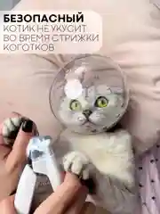 Прозрачный защитный воротник-шар для кошек и собак КАРТОФАН, ошейник для лечения, груминга и стрижки