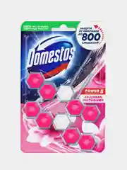 Блок для туалета Domestos power5 duo "Ледяная магнолия",  2 x 55 г