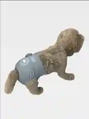 Трусы для собак