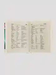 Бирюзовый англо-русский и русско-английский словарь с произношением