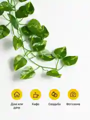 Лайм лианы искусственные для декора Birdhouse, 12 шт