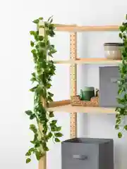 Лайм лианы искусственные для декора Birdhouse, 12 шт