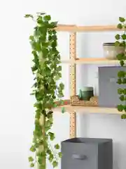 Лесной зеленый лианы искусственные для декора Birdhouse, 12 шт