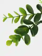 Зеленый лиана для декора/свисающая зелень/самшит искусственный