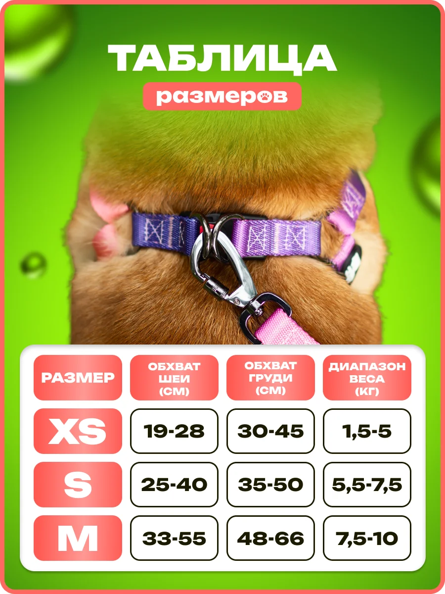 Тёмно-розовый шлейка, ошейник, поводок для собак, комплект 3 в 1