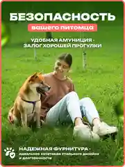 Тёмно-розовый шлейка, ошейник, поводок для собак, комплект 3 в 1