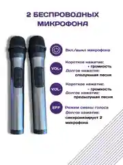 Караоке система для дома с двумя микрофонами, саундбар