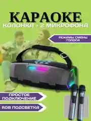 Беспроводная колонка NR-8888