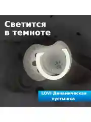 LOVI Buddy Bear Пустышка силиконовая динамическая 0-3 мес, 2 штуки