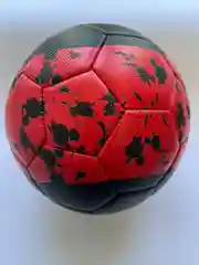 Мяч футбольный, волейбольный, баскетбольный