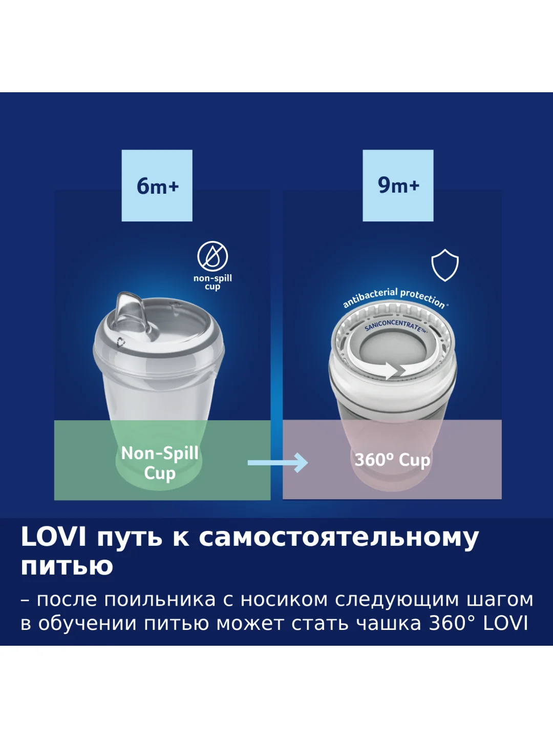 LOVI Buddy Bear Поильник непроливайка с носиком 250 мл, 6+ месяцев
