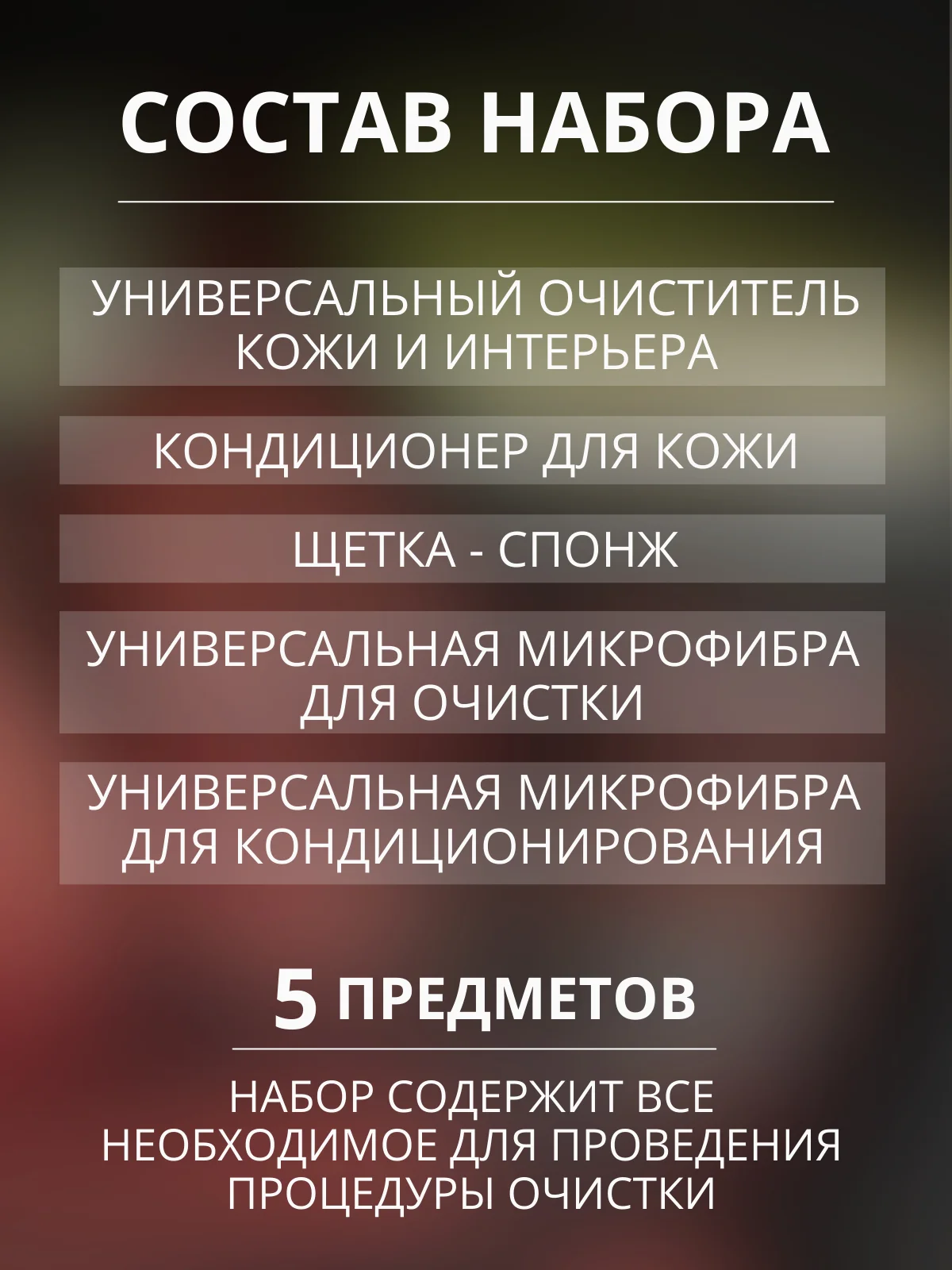 Набор автохимии Complex для ухода за кожей салона / подарочный набор / 5 предметов