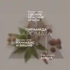 Cosmetime / Лосьон для тела увлажняющий парфюмированный молочко Травы и Вишня, 200 мл
