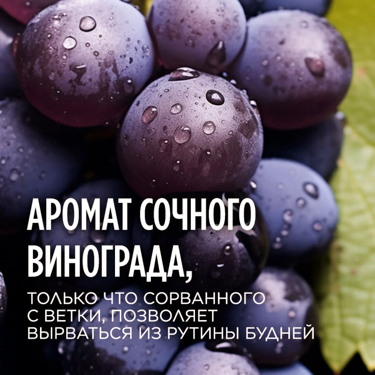 Meditaura Скраб для тела антицеллюлитный с маслами соляной, виноград, 250 мл