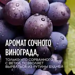 Meditaura Скраб для тела антицеллюлитный с маслами соляной, виноград, 250 мл