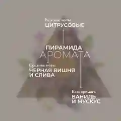 Cosmetime / Лосьон для тела увлажняющий парфюмированный молочко Кашемир и Слива, 200 мл
