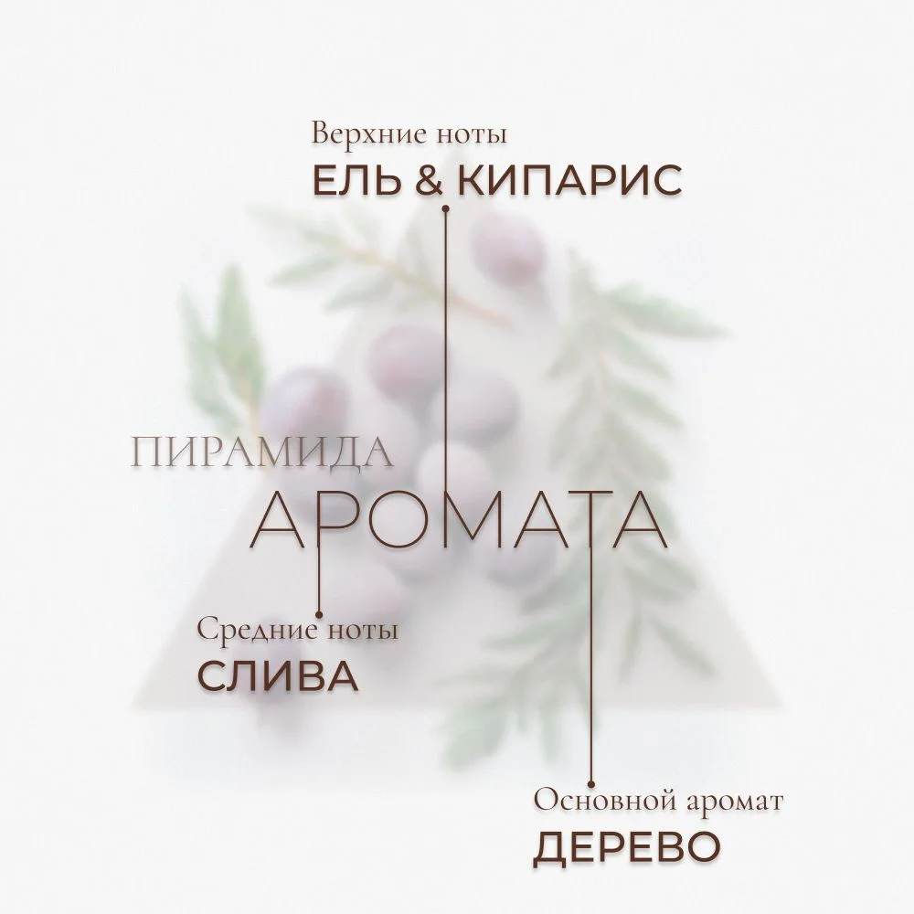 Cosmetime / Крем для тела увлажняющий парфюмированный баттер Черная Амбра и Слива, 200 мл