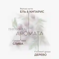 Cosmetime / Крем для тела увлажняющий парфюмированный баттер Черная Амбра и Слива, 200 мл