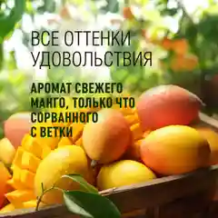 Meditaura Крем для тела увлажняющий баттер парфюмированный манго, 200 мл