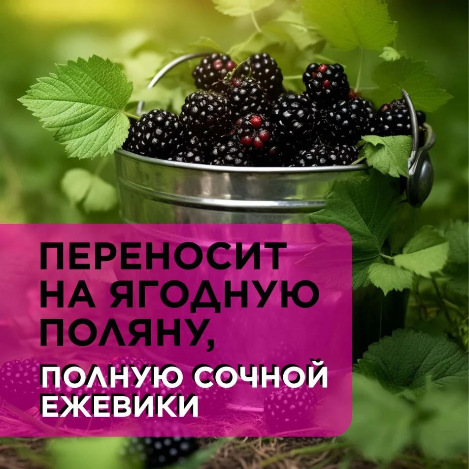 ANUKA Гель для душа женский парфюмированный, ежевика, 460 мл