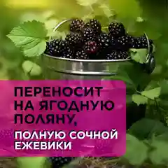 ANUKA Гель для душа женский парфюмированный, ежевика, 460 мл